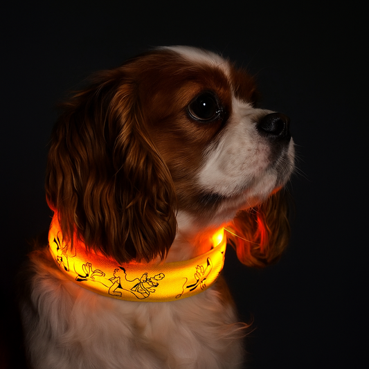 LED Dog Collar – USB Rechargeable & Adjustable