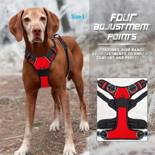Dog Harness with Leash – Strong & Comfortable Vest
